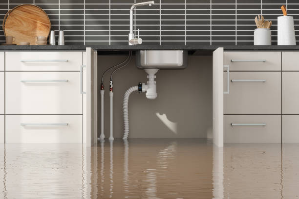 Best Fire Damage Restoration  in Louisville, KY